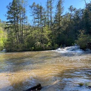 Meet your Posher, Brooklyn